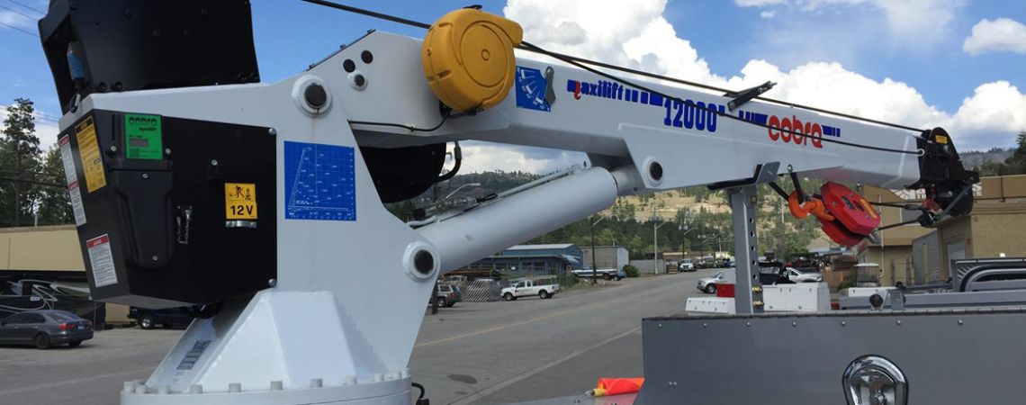 Cobra Crane